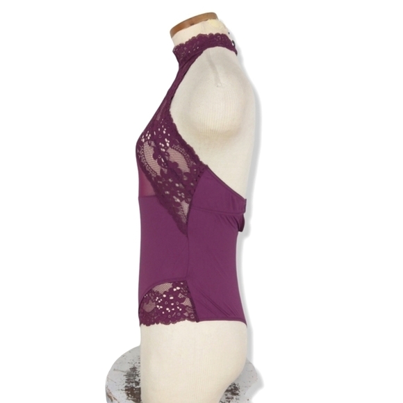 Sexy Lace & Mesh Teddy in Raspberry - Picture 4 of 10